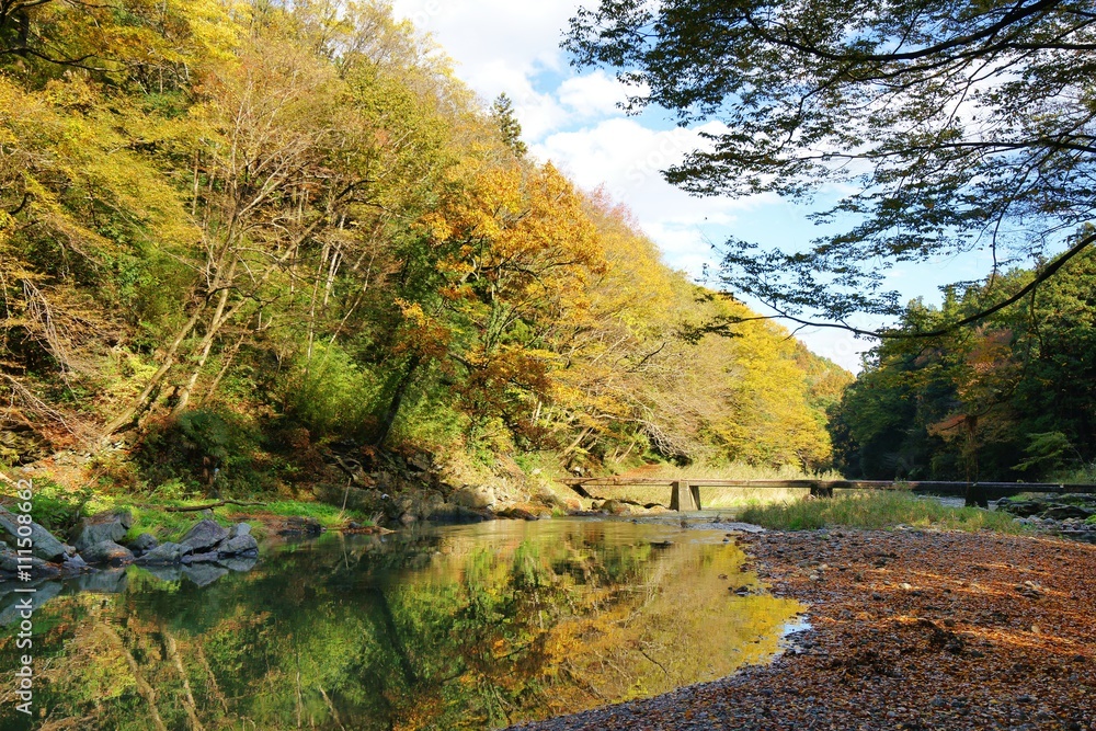 秋の渓谷
