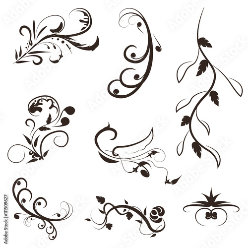 vector set of floral calligraphic swirl designs elements