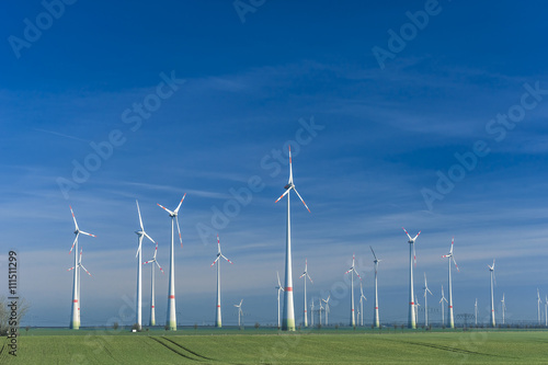 Windpark auf  Getreideacker im Frühjahr