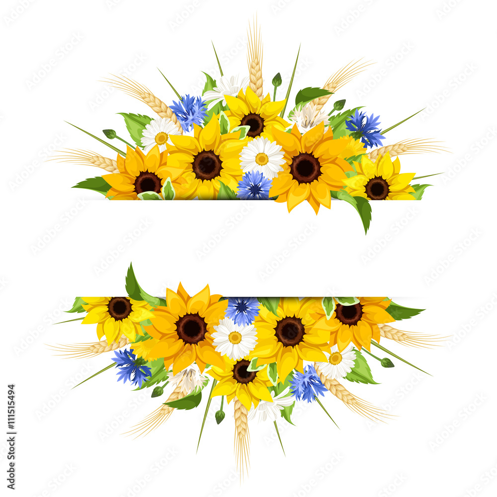 Naklejka premium Vector background of sunflowers, daisies, cornflowers, ears of wheat and leaves isolated on a white background.