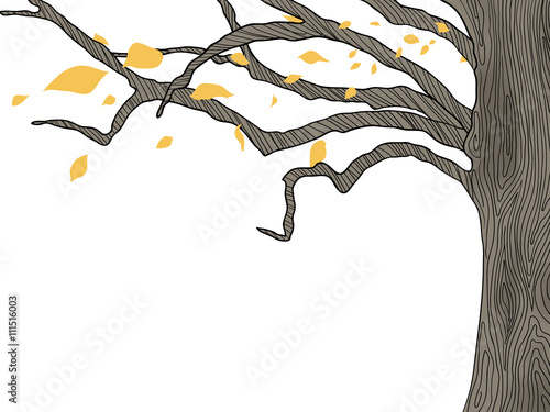 Tree and falling leaves