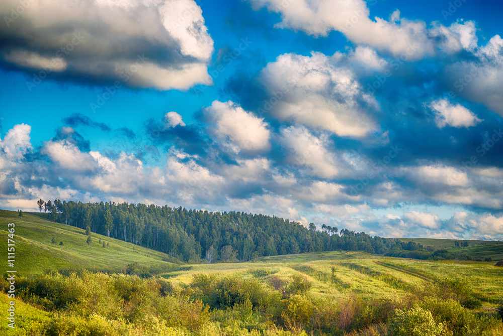 Fototapeta premium power line against the sky 
