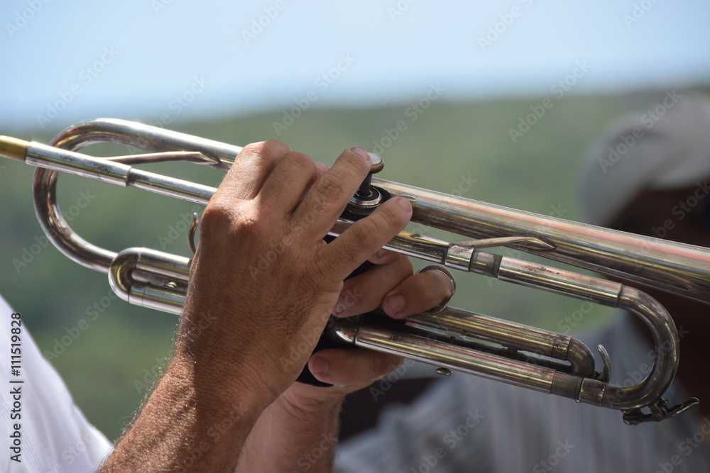 Obraz premium Ventiltrompete