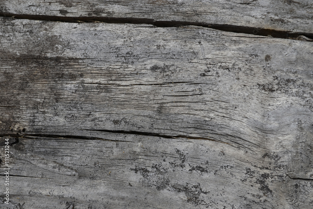 The texture of old wood a light gray color . The texture of old wood a light gray color .