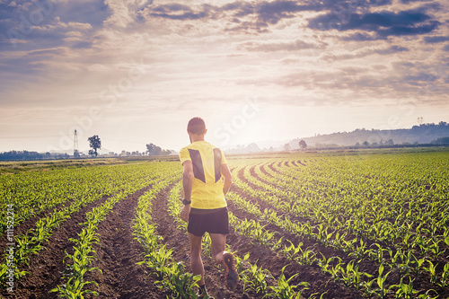 A man running in a corn field at the sunset 