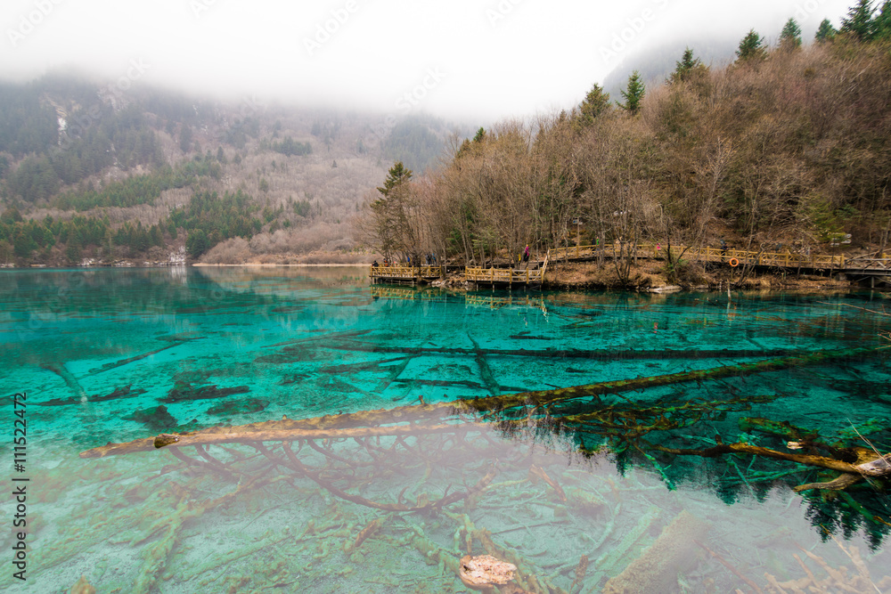 Clear turquoise lake in the mountains and forests. Clear water, see the bottom and algae with branches in a forest and mountains in the mist background Clear turquoise lake in the mountains and forests. Clear water, see the bottom and algae with branches in a forest and mountains in the mist background