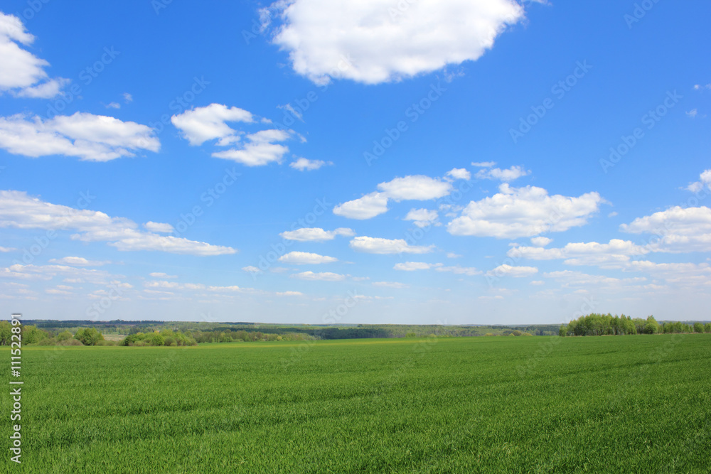 Green field  over the blue sky