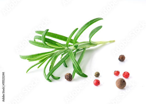 rosemary and pepper on white background photo