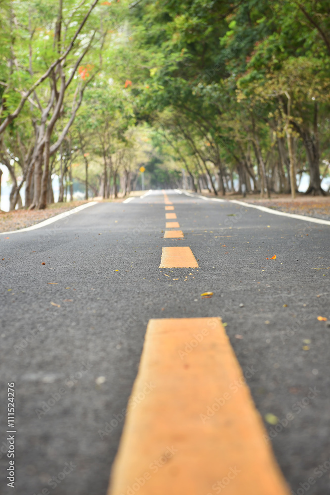 Obraz premium Yellow line marking on road surface in the park