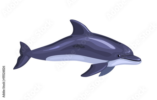 cartoon isolated dolphin