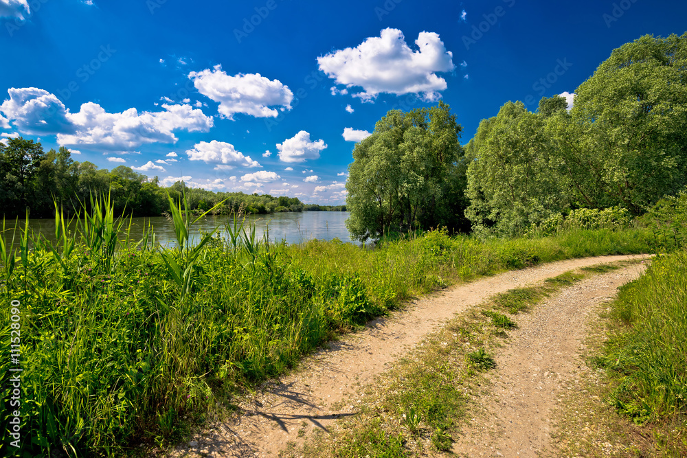 River Drava landscape and path
