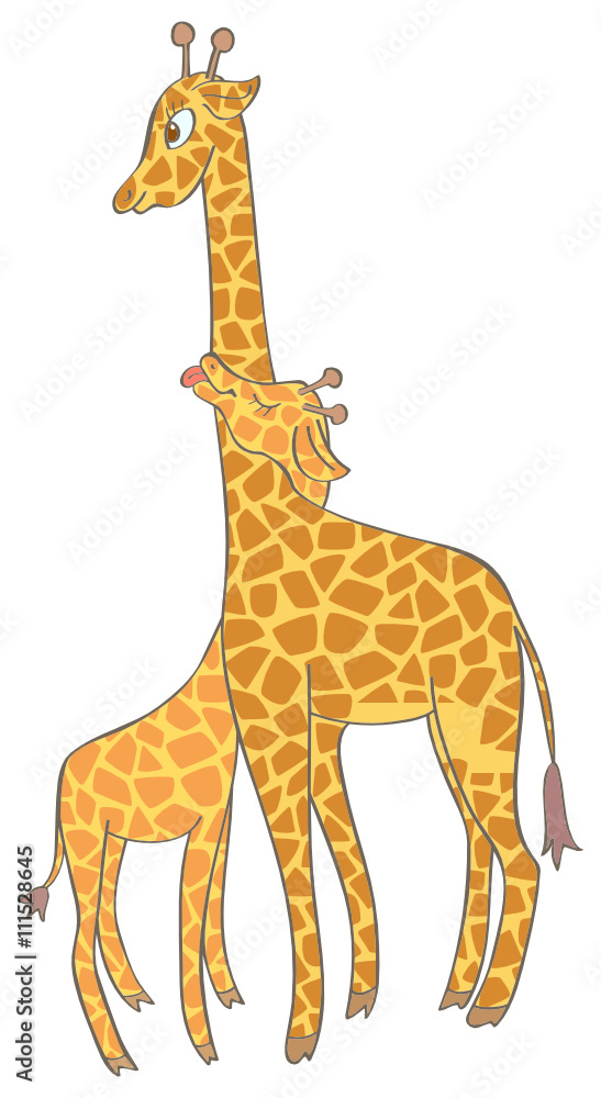 Obraz premium Baby giraffe with mother