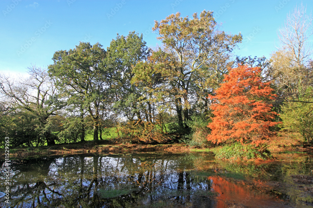 Lake in Autumn Lake in Autumn