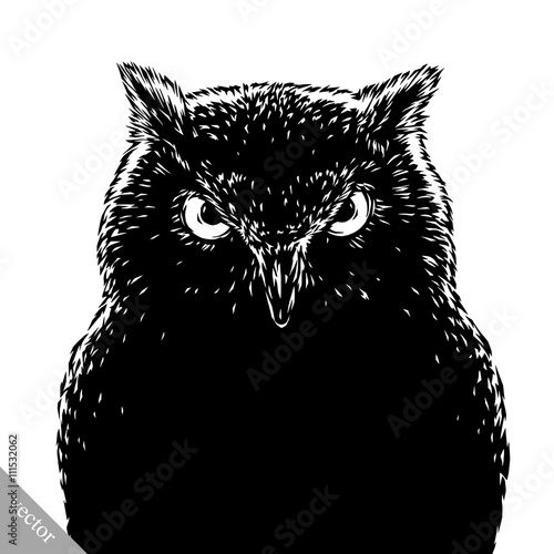 black and white engrave evil vector owl bird