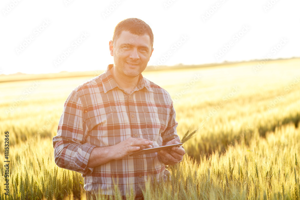 Portrait of young farmer standing in a wheat field with tablet.