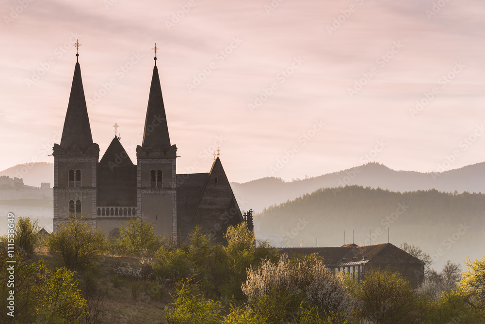 Beautiful Old Cathedral in the Misty Spring Morning (Spisske Podhradie, Slovakia)