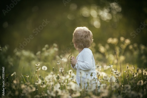 Boy playing on dandelion meadow