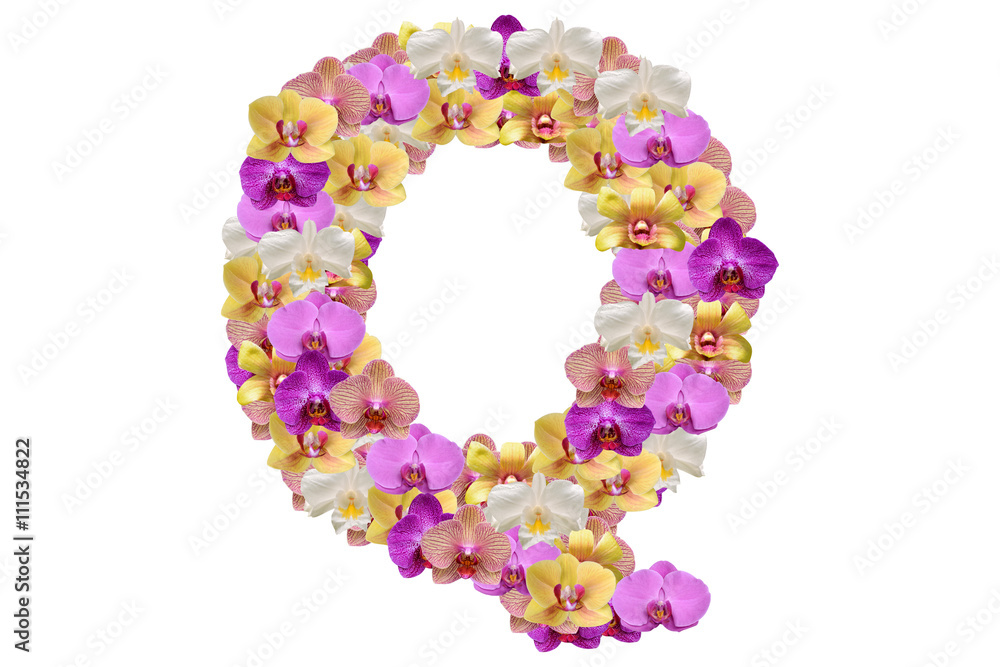 Letter q made of flowers