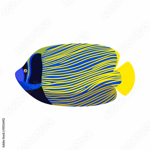 Tropical angelfish icon, cartoon style