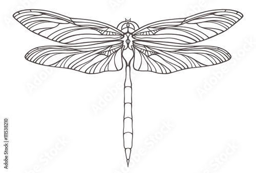 Hand drawn dragonfly illustration isolated