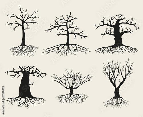 Vector bare tree silhouettes with roots