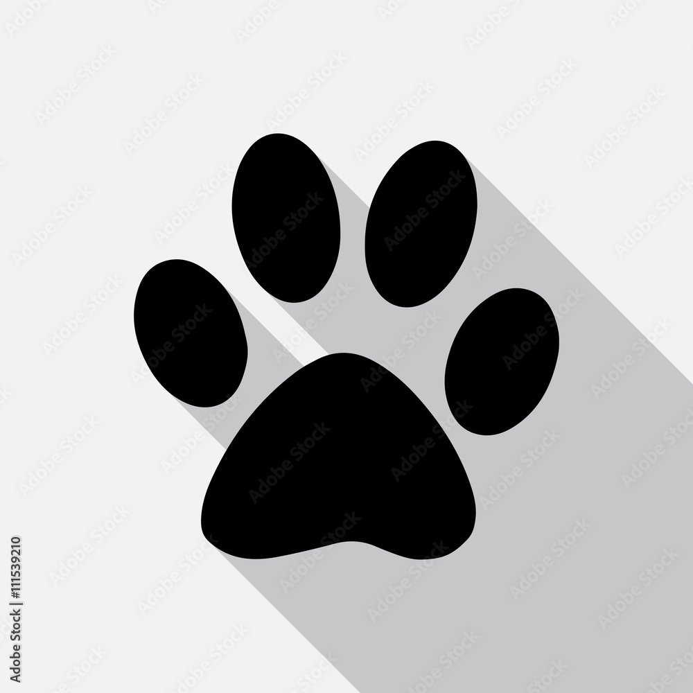 Animal tracks - vector illustration. Animal tracks - vector illustration.