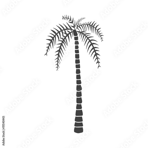 Silhouettes of hand drawn palms trees.