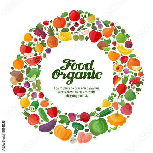 vector fruit and vegetable icons. organic food concept  template  brochure  flyer