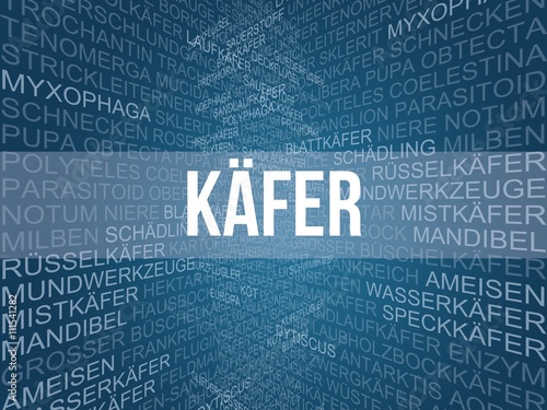 Käfer