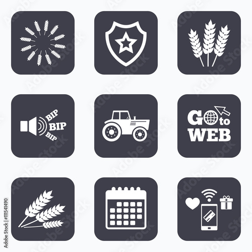 Agricultural icons. Wheat corn or Gluten free.