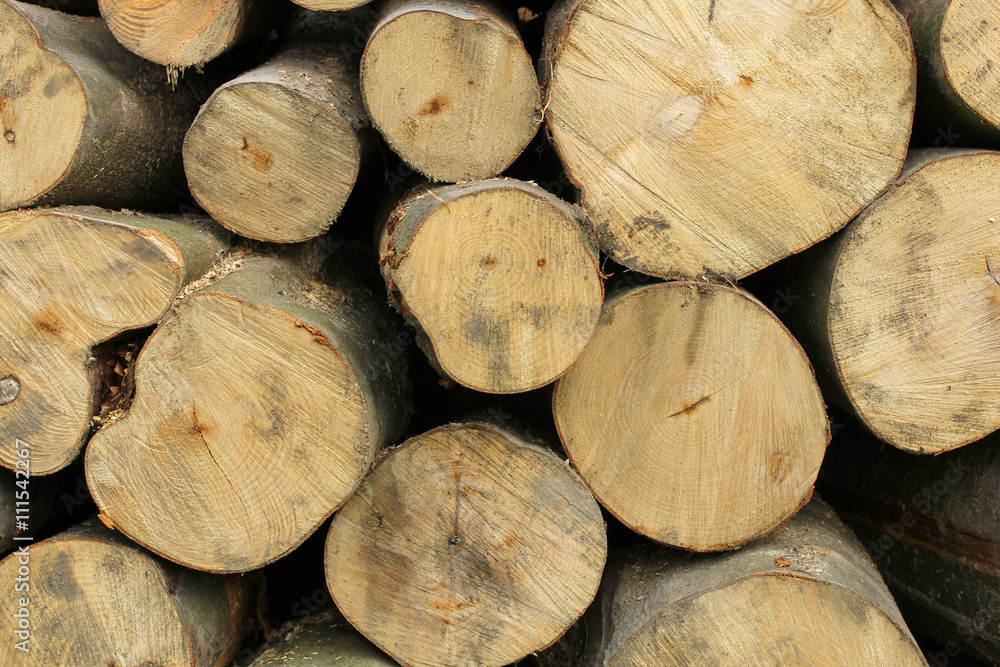 background of wooden logs ready for winter background of wooden logs ready for winter