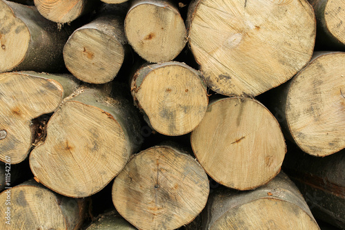 background of wooden logs ready for winter