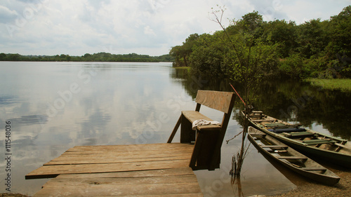 River and rain forest at Amazonas, Brazil