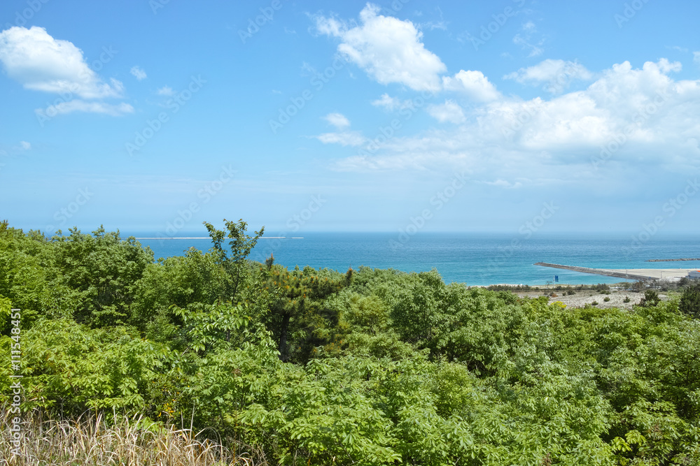 風景（ひたち海浜公園）