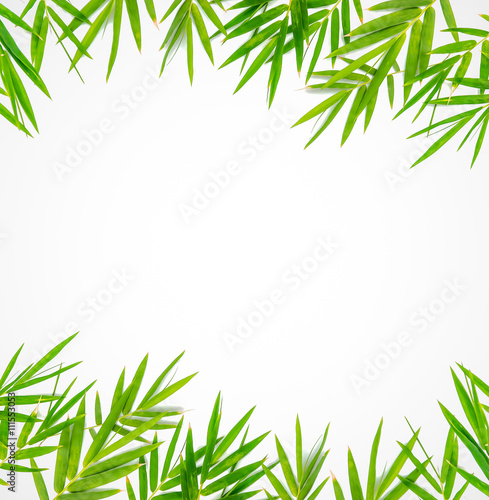 Bamboo leaves on white background © anatskwong