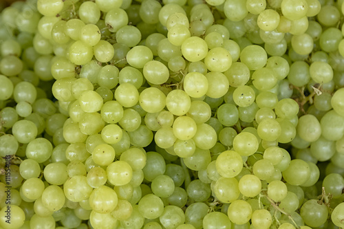 Fresh green wine grapes background