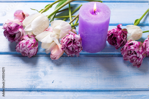 Fototapeta Naklejka Na Ścianę i Meble -  White and pink spring tulips  and violet candle