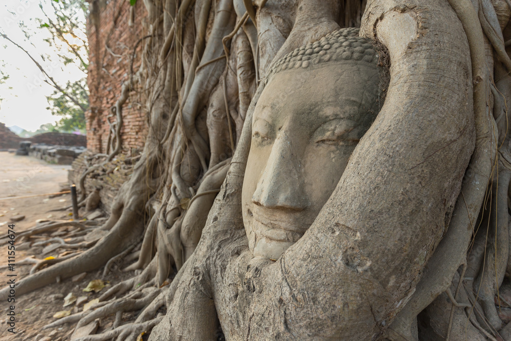 Stone head of the sandstone Buddha covered by roots of Bodhi tree at Wat Mahathat, Ayutthaya, Thailand Stone head of the sandstone Buddha covered by roots of Bodhi tree at Wat Mahathat, Ayutthaya, Thailand