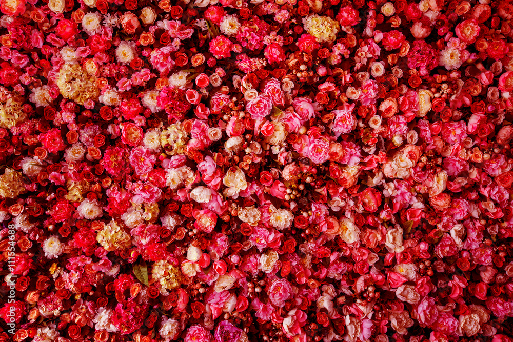 Closeup image of beautiful flowers wall background with amazing Closeup image of beautiful flowers wall background with amazing