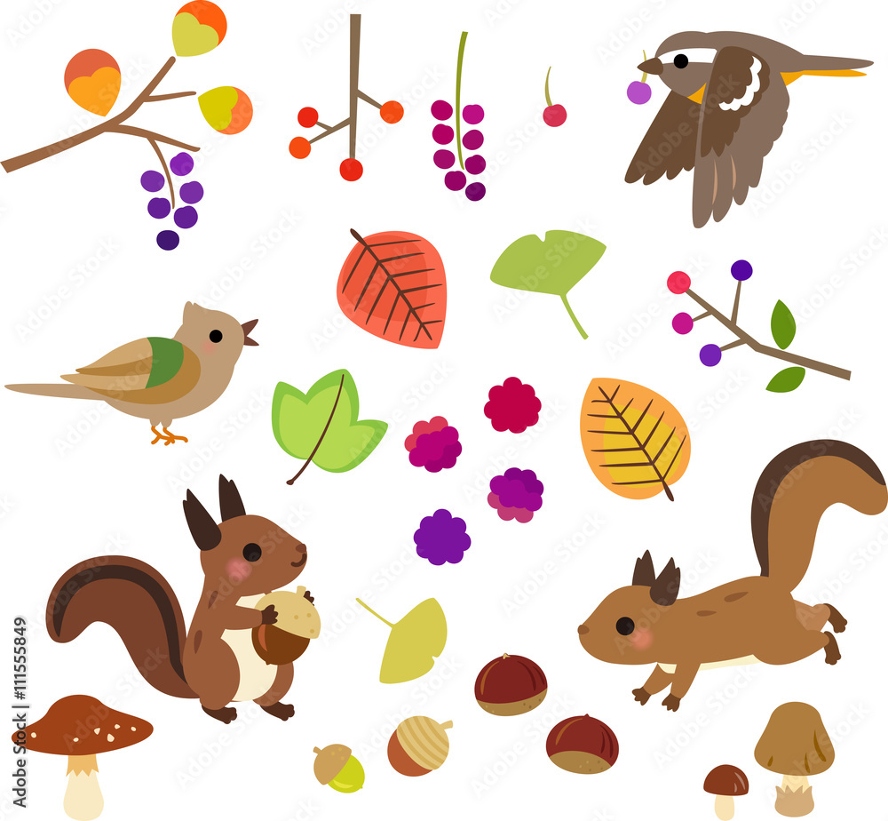 秋の木の実と小動物のイラストセット Stock ベクター Adobe Stock