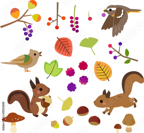 秋の木の実と小動物のイラストセット Stock ベクター Adobe Stock 秋の木の実と小動物のイラストセット Stock ベクター Adobe Stock