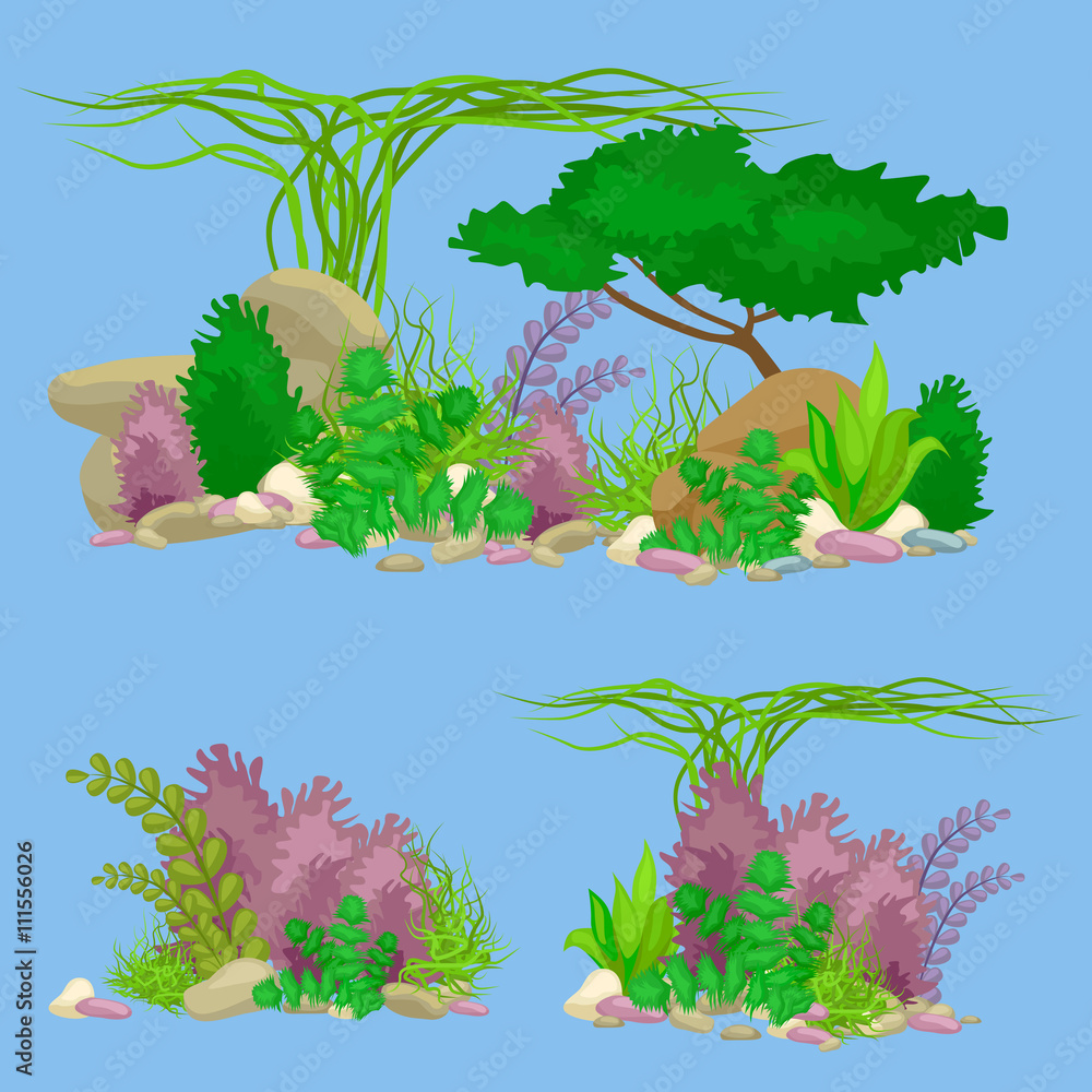 Set isolated colorful corals and algae, Vector underwater flora, fauna.