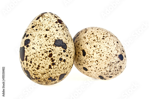 Quail eggs on white background