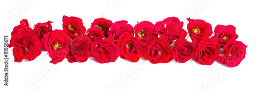 Bouquet of roses arranged to form of a border or design element for floral themes.