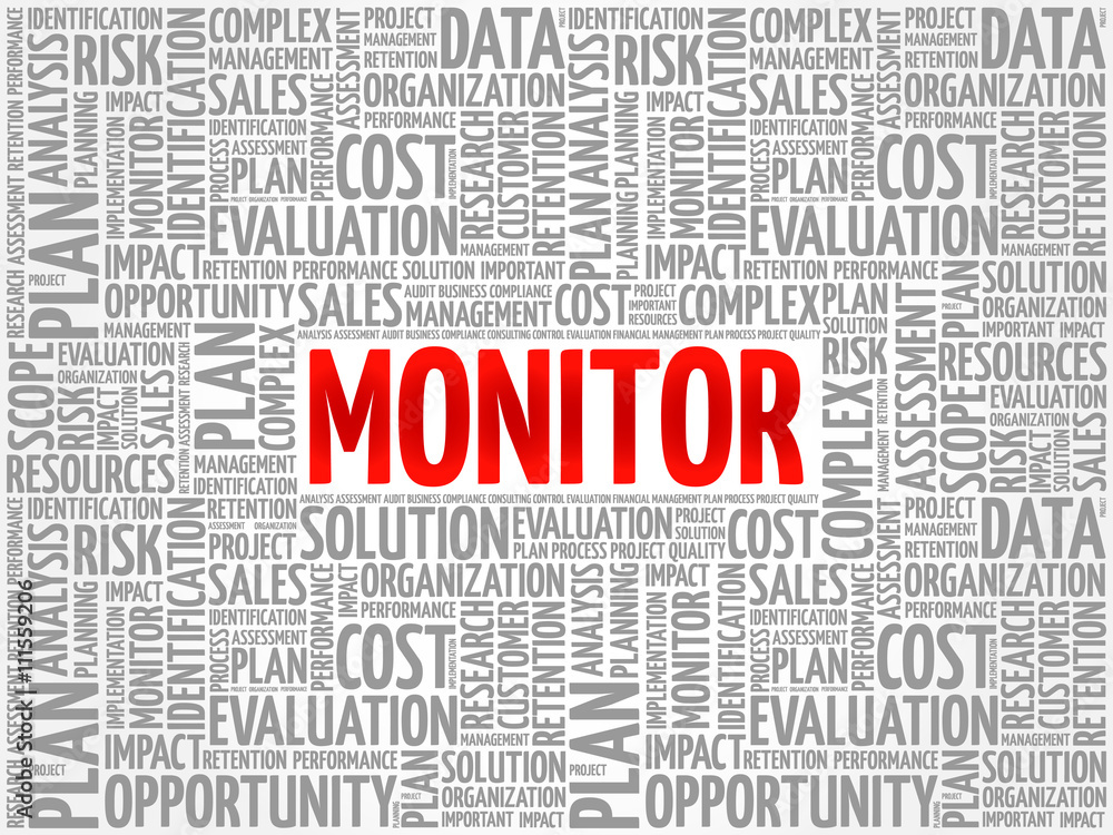 MONITOR word cloud, business concept