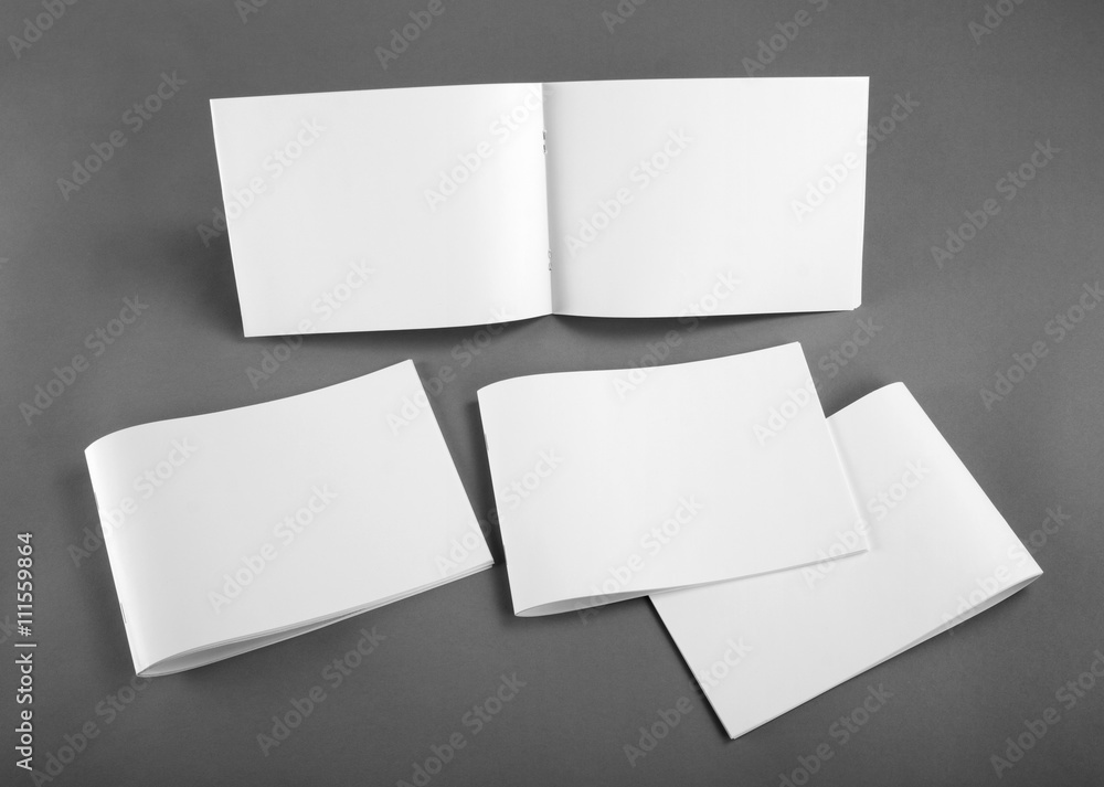 Fototapeta premium Blank catalog, brochure, magazines, book mock up