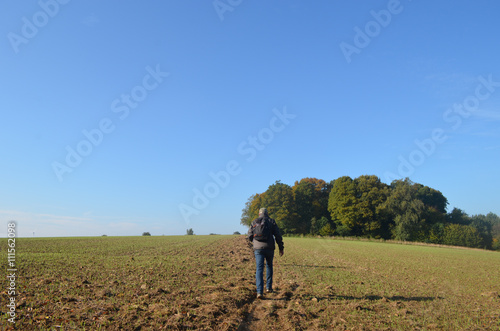 Man walking through rows of seedlings in corn field on a hill surrounded by forest on sunny autumn day, Yvoir, Wallonia