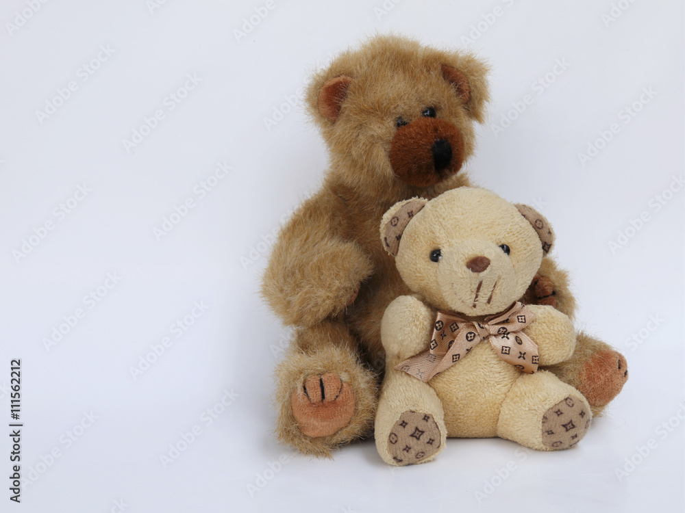 Obraz premium Teddy Bear