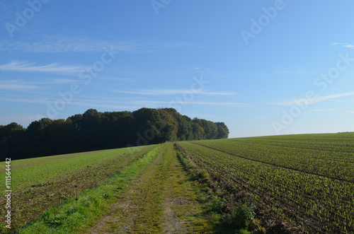 Trail through rural landscape with trails  meadows and fields on rolling hills in Wallonia on sunny autumn day  Durnal  Yvoir