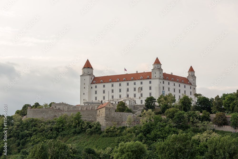 Bratislava castle closeup